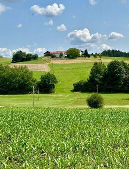 Mehr Raum, mehr Ruhe, mehr Zuhause - ein Traumhof mit vielen Optionen - Pleiskirchen