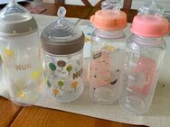 Baby Trinkflaschen auch neue dabei - Wrestedt