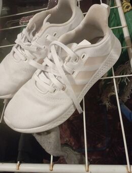 Biete verschiedene Marken Damen Schuhe Größe39/40 an - Eisleben (Lutherstadt)