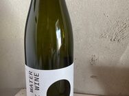 Weißwein Wein Sage Water Drink Wine Bio der Runde Weisse 2020 - Dannstadt-Schauernheim