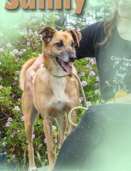 Sunny durfte nicht mit umziehen - Brunstorf