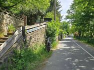 Ein Ort zum Durchatmen – mit Elbblick & Seele - Dresden