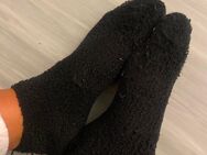 Dreckige Socken und Schuhe zu verkaufen - Frankfurt (Main)