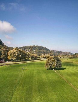 Modernisiertes 4-Fam.Haus Bj. 1890 + Fabrik-Loft-Etage + viele neue Details + 405qm WNF + 528qm GS + Gartenhs + Paradiesgarten + ideal f. Aufteilg - Freiburg (Breisgau)