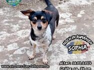 SOPHIA - Familie=Zusammenhalt - Waakirchen
