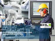Ausbildung zum Maschinen- und Anlagenführer (m/w/d) - Hainichen (Sachsen)