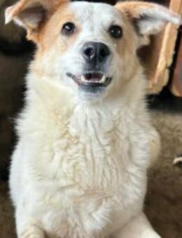 VALENA - freundlich, aktiv, sozial! - Korschenbroich