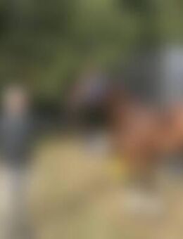 Han*** - Langwedel (Niedersachsen)