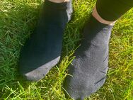 Socken suchen nach langer Wanderung ein neues zu Hause 🌳😏 - Kassel