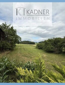 Lieblingsplatz? Modernisierungsbedürftiges EFH mit Scheune, Alleinlage - Rosenbach (Vogtland)