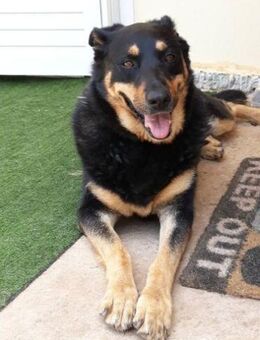 Carla, Sehnsucht nach eigenen Menschen.. - Mettmann