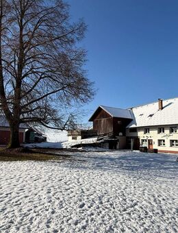 Liebhaberstück: Bauernhof in Alleinlage von Argenbühl mit viel Potenzial - Argenbühl