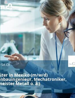 Betriebsleiter in Mexiko (m/w/d) (Maschinenbauingenieur, Mechatroniker, Industriemeister Metall o. ä.) - Berlin Mitte