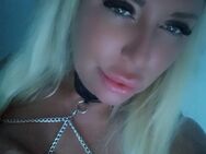 ♥️Blondes Busenwunder♥️ - Hamburg Hamburg-Nord