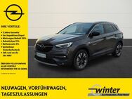 Opel Grandland X, 1.2 Opel 2020, Jahr 2020 - Großröhrsdorf