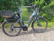 Trekking -E-Bike - Mannheim
