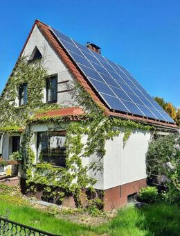 Unfassbar günstig ! Einfamilienhaus mit tollem Grundstück in Velgast zu verkaufen - Velgast