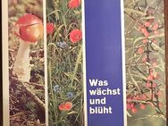 Birkel Sammelalbum "Was wächst und blüht" - Essen