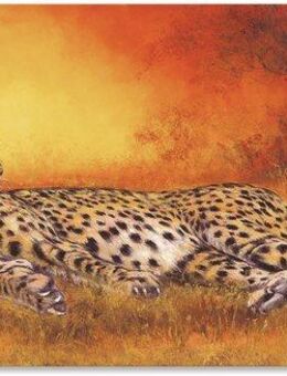 Artland Wandbild Gepard, Geparden Bilder (1 St), als Alubild, Outdoorbild, Leinwandbild, Poster, Wandaufkleber