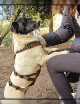In Düsseldorf wartet die süße FINJA! - Meinerzhagen
