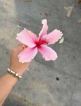 Gemeinsam ins neue Jahr - Hannover Bothfeld-Vahrenheide