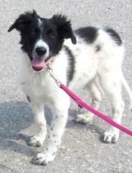 Kavita ist offen, sozial und so toll! - Karben