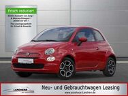 Fiat 500 1.0 Club //Klima/PDC/DAB - Thannhausen