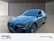 Audi e-tron 50 2x S LINE OPTIK-BLACK MATRIX KAMERA ACC-TOUR - Plettenberg