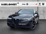 Alfa Romeo Stelvio, Competizione Q4, Jahr 2023 - Hasbergen