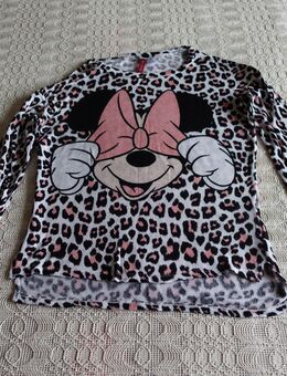 Pullover, Feinstrickpullover, Leo, Gr. XS bzw. ca. Gr. 34, H&M Divided - Hamburg