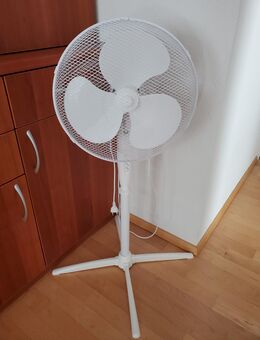 Standventilator Weiß - Bad Rappenau