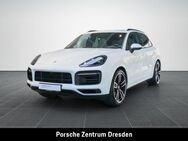 Porsche Cayenne, Platinum Edition Sitzbel SWA, Jahr 2023 - Dresden