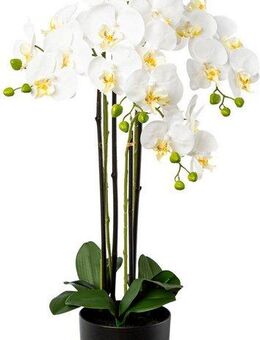 Kunstorchidee Phalaenopsis im Resintopf Orchidee Phalaenopsis, Creativ green, Höhe 83 cm, mit Real-Touch-Blüten