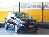 Ford EcoSport Titanium Kamera Lenkradheizung DAB - Mettingen