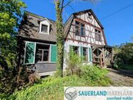 Historisches Landhaus mit Charme in idyllischer Lage Korbach-Hillershausen - Korbach (Hansestadt)