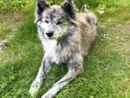 Yuma - ist unkompliziert - Löwenberger Land