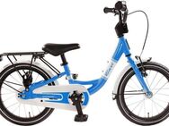 Bachtenkirch Kinderfahrrad 16" Baxi - blau, 1 Gang, ohne Schaltung, (Packung), Alu Kinderfahrrad mit Vollausstattung, erhältlich in 14/16/18 Zoll