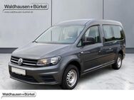 VW Caddy, 2.0 TDI Maxi Kombi, Jahr 2018 - Viersen