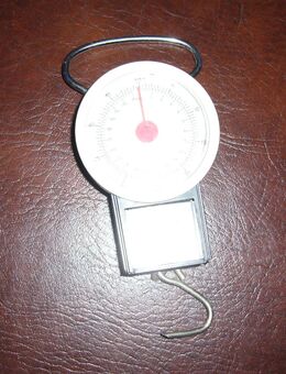 Hängewaage 0-22kg - Krefeld