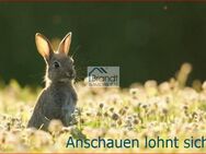 Aber Jetzt - Wunderschön gelegenes ZFH - Bezugsfrei - Preisreduziert ! - Bodenfelde