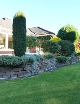 Bereich Fischteiche! Stilvoller Bungalow mit Einliegerwohnung, auf großem Grundstück! - Paderborn