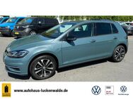 VW Golf, 1.0 TSI VII IQ DRIVE, Jahr 2019 - Luckenwalde