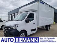 Renault Master, 35 Möbel Koffer APP, Jahr 2020 - Cloppenburg