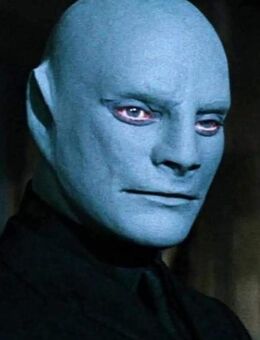 Hobbyfotografen gesucht - Göttingen