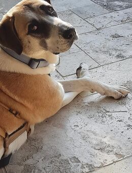 Mit Juli habt ihr immer Sonne im Haus (und im Herzen) - München Trudering-Riem
