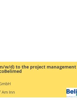 Assistant (m/w/d) to the project management office SteelcoBelimed - Mühldorf (Inn)
