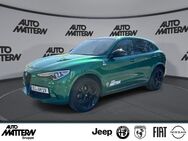 Alfa Romeo Stelvio, 2.9 Quadrifoglio V6 Sparco 21, Jahr 2023 - Herford (Hansestadt)