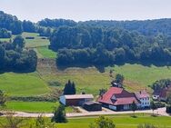 Kernsanierte Liegenschaft mit viel Potenzial - Sankt Johann (Baden-Württemberg)