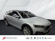 Skoda Octavia, 2.0 TDI Combi SCOUT, Jahr 2021 - Mitterteich