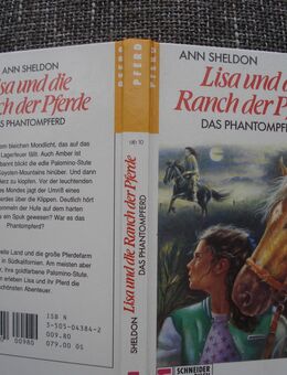 Lisa und die Ranch der Pferde Das Phantompferd Ann Sheldon - Friedrichsdorf